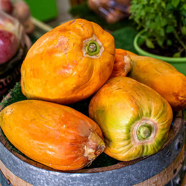 ΠΑΠΑΓΙΑ image