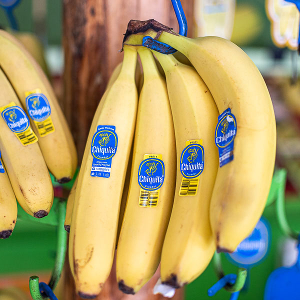 ΜΠΑΝΑΝΕΣ CHIQUITA image