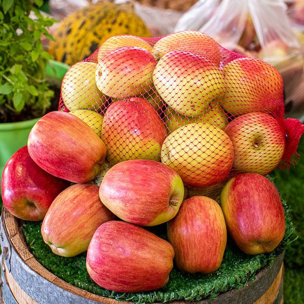 ΦΥΡΙΚΙΑ image